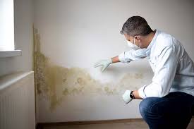 Best Mold Odor Removal Services  in Avon By The Sea, NJ